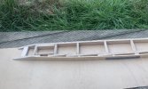 IMG_9523.jpeg