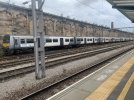 IMG_0202.jpeg