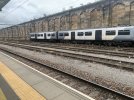IMG_0199.jpeg