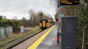 IMG_2617.jpeg