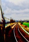 IMG_8066.jpeg
