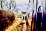 IMG_8068.jpeg