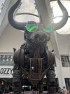 IMG_2391.jpeg