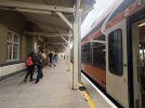 IMG_3568.jpeg