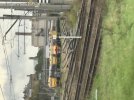 IMG_3615.jpeg