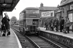 Ravensholme.png