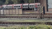 IMG_5110.jpeg