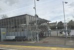 IMG_7826.jpeg