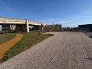 IMG_4310.jpeg