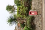 IMG_1673 (2).JPG
