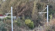 IMG_5313.jpeg