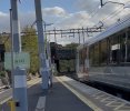 IMG_6924.jpeg
