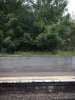 DSCF3897.jpg