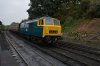 hymek.jpg