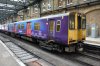 class313.jpg