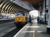 DSCF3783.jpg