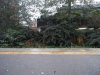 DSCF4183.jpg