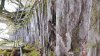 20160407_141348.jpg