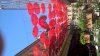 WP_20150826_12_29_47_Pro__highres.jpg
