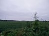 IMG_20160602_202527.jpg