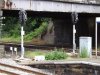 DSCF6353.jpg