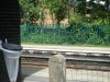 DSCF4763.jpg