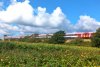 DSC_0003.jpg