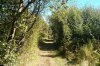 IMG_20160829_143224.jpg