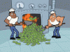 giphy (1).gif