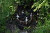 DSC_2218 - Rotated.jpg
