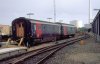 dsb.2.jpg