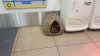 20161209_172411.jpg