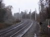 MidgW150117.jpg