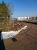 2017-01-22 11.42.14.jpg
