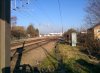 2017-01-22 11.44.52.jpg