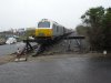Dorset Coast Express 004.jpg