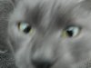 DSCN2603.jpg