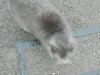 DSCN2605.jpg