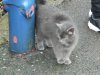 DSCN2608.jpg