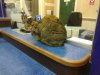 IMG_20170202_170736.jpg