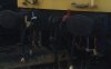 IMG_0827.JPG