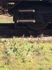 IMG_0892.JPG