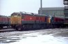 IMG_1521.JPG
