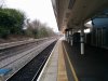 IMG_20170328_112002.jpg