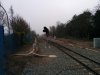IMG_20170328_112124.jpg