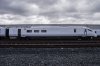 DSC_0017S.jpg