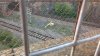 IMG_20170427_192817521.jpg