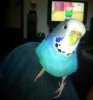 IMG_0175.jpg