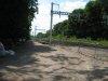 IMG_1787.jpg