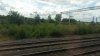 ditton_sidings.jpg